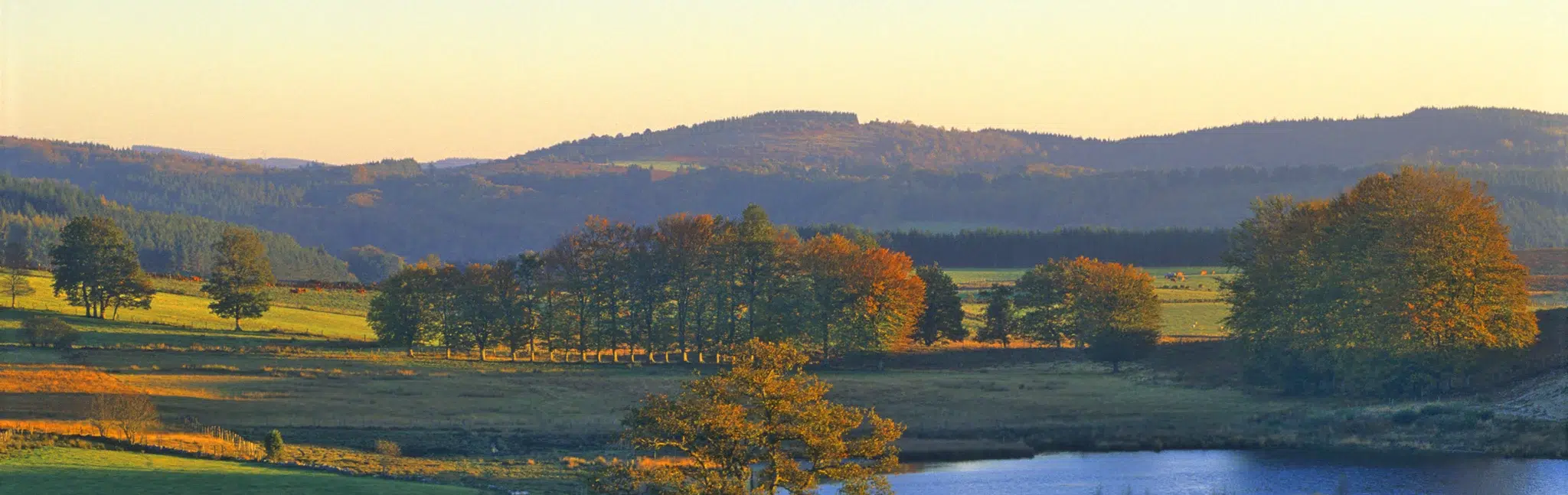 Paysage de la Réserve naturelle régionale de la haute vallée de la Vézère, la tourbière étang de Chabannes