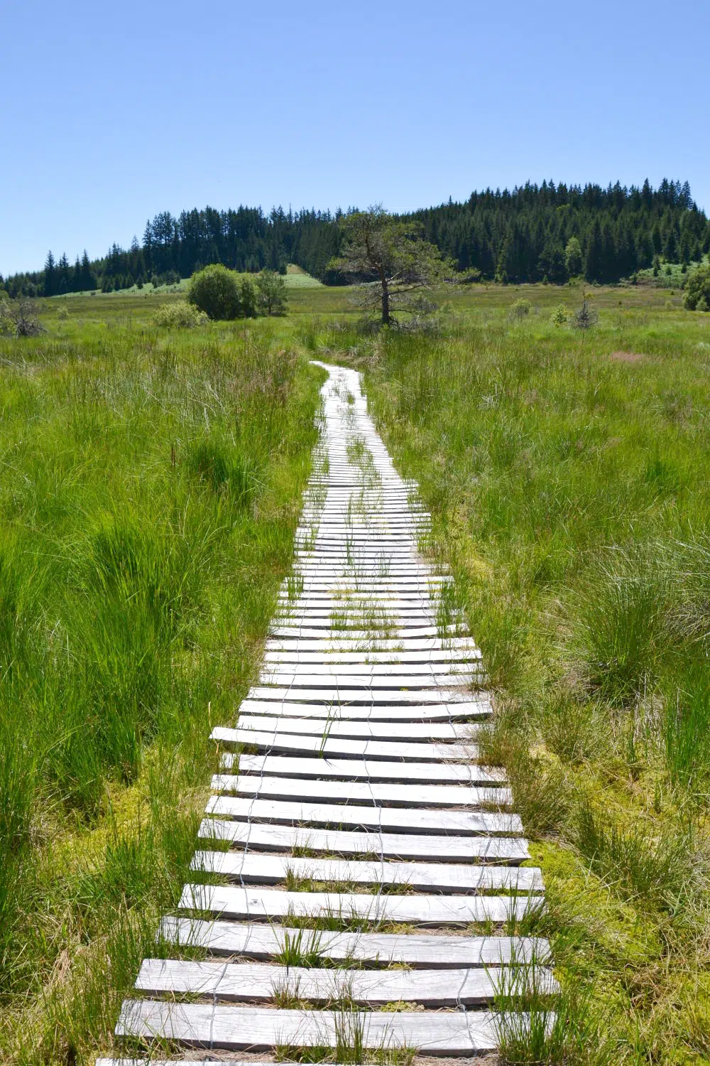 Camping Paradis coiroux nature trail